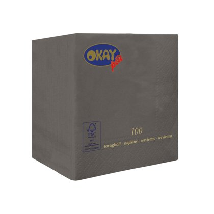 BOX 4200 TOVAGLIOLI 2V.25x25 GRIGIO ST