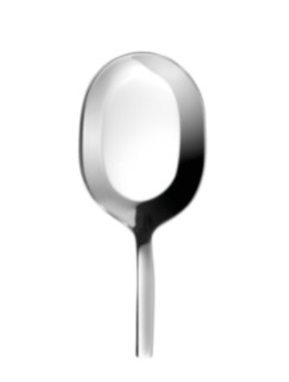 CUCCHIAIO DEGUSTAZIONE OVALE INOX 18/10 LAB COMAS