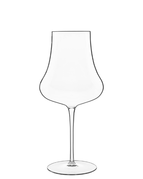 CALICE TENTAZIONI BORDEAUX 67C487 VBL